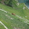 Bear Park Bear Park