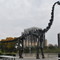 Field Museum FMNH Brachiosaurus Field Museum in Chicago, United States