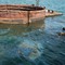 USS Arizona Memorial USS Arizona oil seepage USS Arizona Memorial in Honolulu, United States