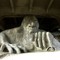 Fremont Troll, Seattle Fremont Troll, Seattle