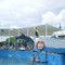 Miami Seaquarium, Miami