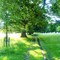 Phoenix Park Dublin, Dublin