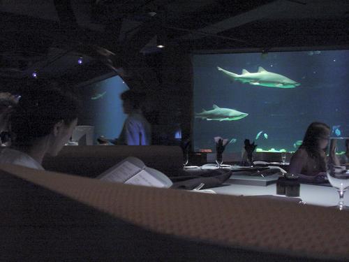 SeaWorld Orlando in Orlando, United States