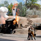 Disney's Hollywood Studios in Orlando, United States