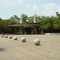 Houston Zoo, Houston