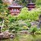 Golden Gate Park, San Francisco Golden Gate Park, San Francisco