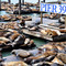 Pier 39, San Francisco Pier 39, San Francisco