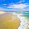 Venice Beach, Los Angeles Venice Beach, Los Angeles