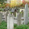 Kazimierz Remuh Jewish Cemetery in Krak%C3%B3w %28Poland%298 Kazimierz district Krakow in Krakow, Poland