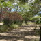Cheyenne Botanic Gardens, Cheyenne