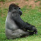Zoo Atlanta, Atlanta