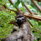 Dallas World Aquarium, Dallas