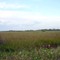Everglades National Park