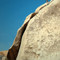 Joshua Tree National Park