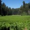Sequoia National Park