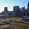 Millenium Park, Chicago Millenium Park, Chicago