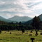 San Francisco Peaks Flagstaff