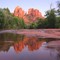 Coconino National Forest Flagstaff