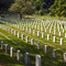 Arlington National Cemetery