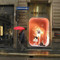 Via Montenapoleone Via Montenapoleone Miss Sixty Shop Window Via Montenapoleone in Milan, Italy