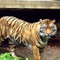 Toronto Zoo, Toronto