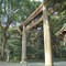 Meiji Shrine, Tokyo