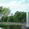 Yoyogi Park, Tokyo
