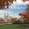 Notre-Dame Cathedral Basilica in Ottawa, Canada