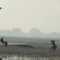 Keoladeo National Park in India