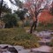 Jingshan Park, Beijing