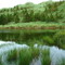 Yangmingshan National Park in Taipei, Taiwan