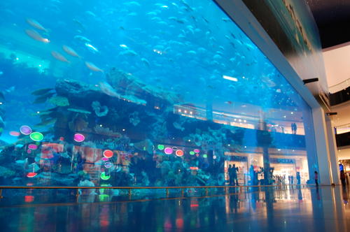 Dubai Aquarium & Underwater Zoo in Dubai, United Arab Emirates