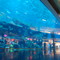 Dubai Aquarium & Underwater Zoo, Dubai
