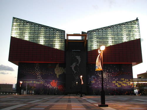 Osaka Aquarium in Osaka, Japan