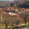 Osaka Castle Park, Osaka