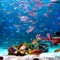 Manila Ocean Park, Manila