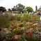 Kings Park & Botanic Garden, Perth Kings Park & Botanic Garden, Perth
