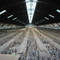 Terracotta Army, Xi'an