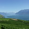 Lake Geneva
