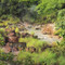 Rincon de la Vieja National Park