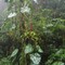 La Amistad National Park