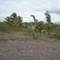 Piparo Mud Volcano
