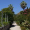 Trsteno Arboretum, Dubrovnik