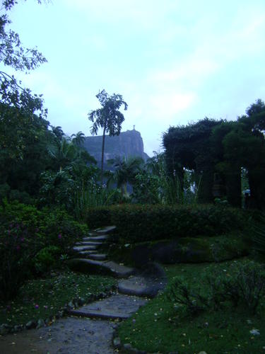 Rio de Janeiro Botanical Garden in Rio de Janeiro, Brazil