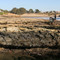Natural Bridges State Beach, Santa Cruz