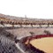 The Maestranza Bullring, Seville