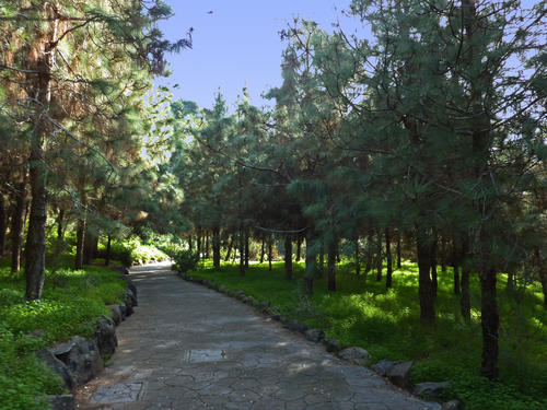 Botanical Garden of the Canaries, Las Palmas