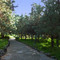 Botanical Garden of the Canaries, Las Palmas