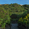 Jardín Botánico Canario Viera y Clavijo Jard%C3%ADn Bot%C3%A1nico Canario Viera y Clavijo Botanical Garden of the Canaries