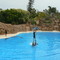 Loro Park